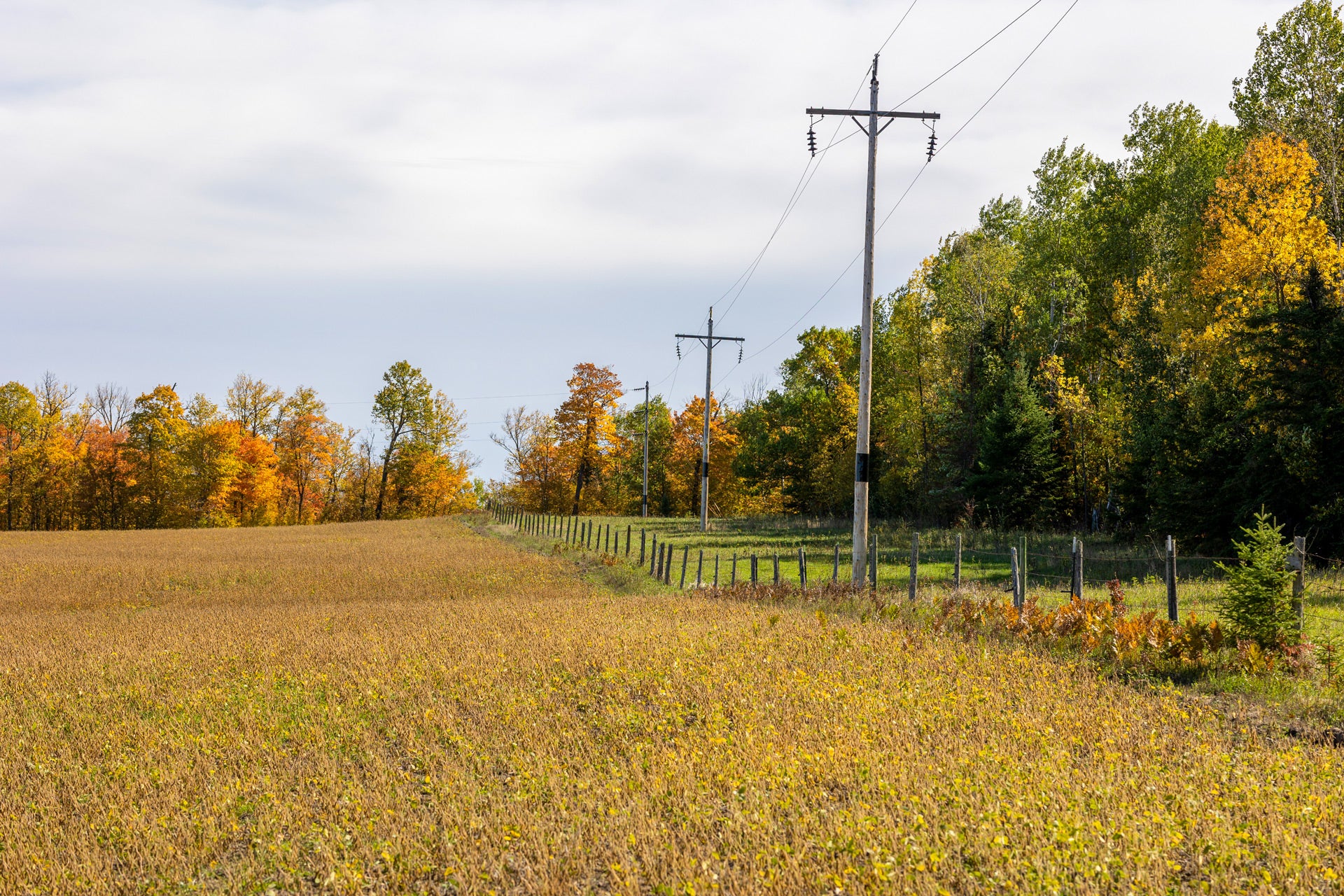 2025 Budget & Rate Outlook | Beltrami Electric Cooperative